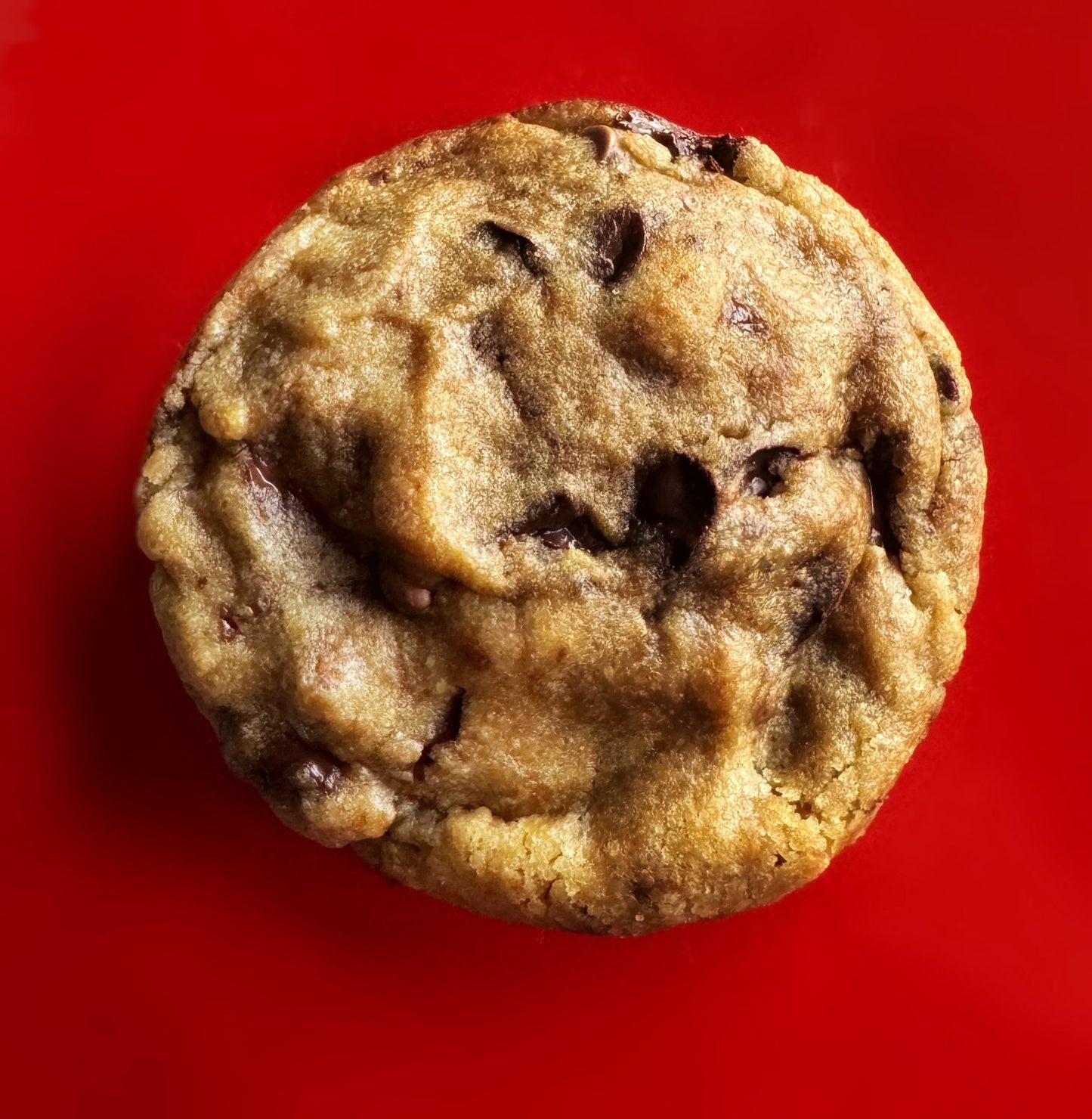 The OG Chocolate Chip Chonker